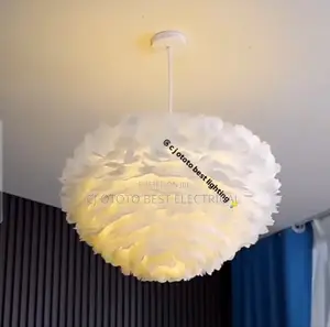 Luxury Feather Pendant Light Available Now for Pick Up