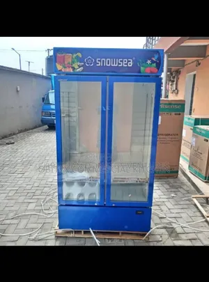 Industrial Display Chiller Double Doors Is Available 4sale