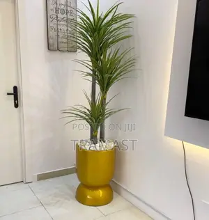 Yucca Plant Potted With 60cm Tumbler Fiberglass Planter