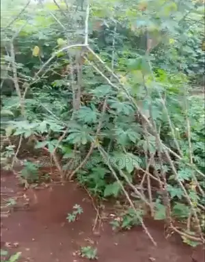 One Plot of Land for Sale
