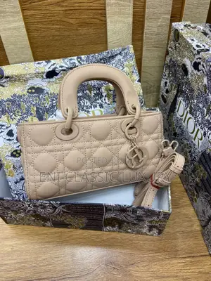 Dior Luxury Women Handbags Available in Store 