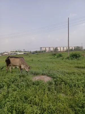 Acres of Land for Sale at Lagos Ibadan Express Road