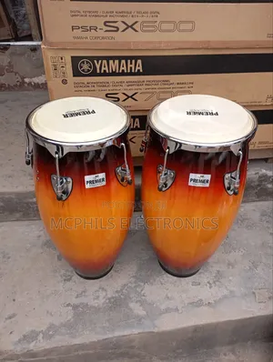 Professional Conga Drums