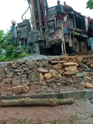 Borehole Drilling and Geophysical Survey