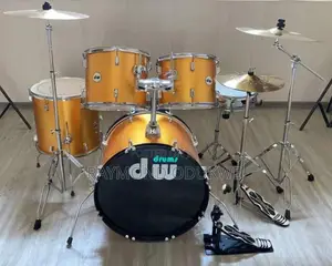 Professional Drum Set