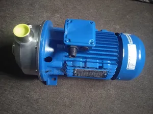 STAINLESS 3hp LOWARA Surface Pump