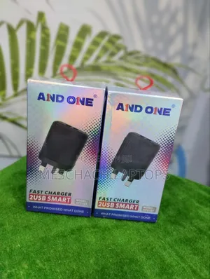 And ONE Fast Charger 2USB Android