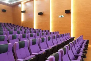 Luxury Imported Auditorium Chairs Available Now