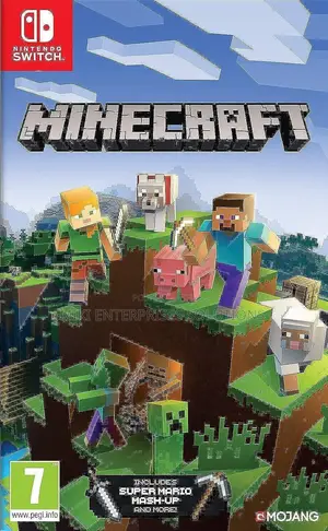 Nintendo Switch Minecraft Video Game