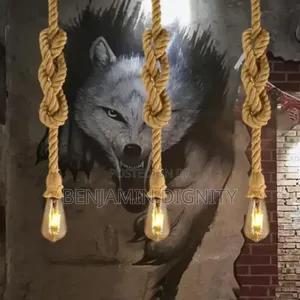 Rope Dropped Light