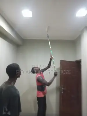 Walls and Ceiling Screeding and Painting