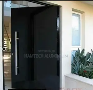 Entrance Pivot Door