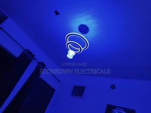 Multiple Color Changing Chandelier Fitting
