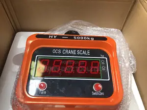 OCS Crane Scale