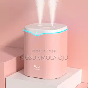 2L Double Spray Humidifiers LED Light
