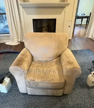 Before and After Professional Sofa Cleaning