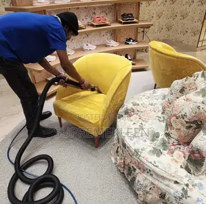 Revive Your Upholstery, Sofa/Chair Cleaning Service