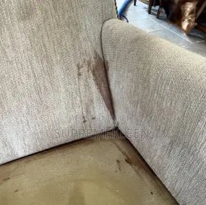 Professional Upholstery, Couches Cleaning House Cleaning.