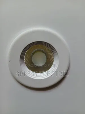 Ceiling Mounted Pop Light