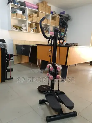 3 in 1 Standing Stepper