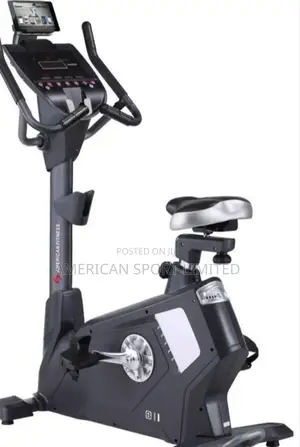 Commercial Magnetic Bike American Fitness