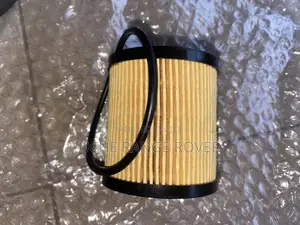 Range Rover Evogul Oil Filter