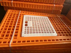 Transport Crate, Birds Transfer Crate, Feather Plucker