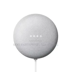 Google Nest Mini Smart Speaker