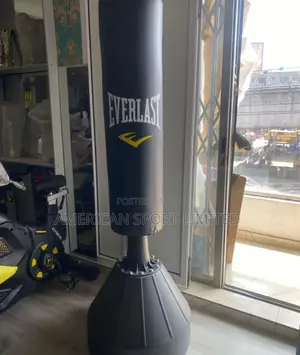 Everlast Standing Punching Bag