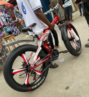 Foldable Big Tire Bicycle