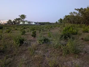 1 Hectare Industrial Plot by Tarred Road Idu (C of O)