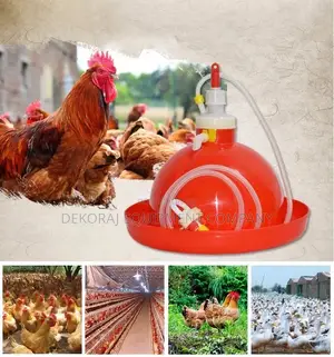 Bell Drinker, Birds Transfer Crate, Breeders Egg Crate