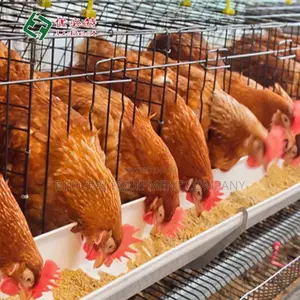 96 Birds Egg Laying Cage Imported , Pellitizer