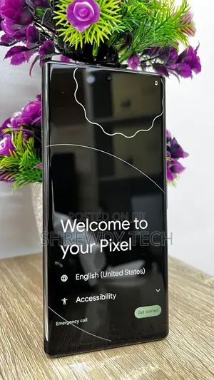 Google Pixel 6 Pro 256 GB