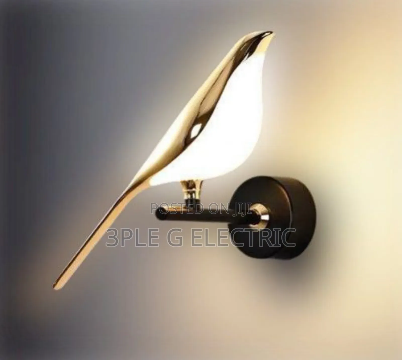 Morden Wall Mounted Light