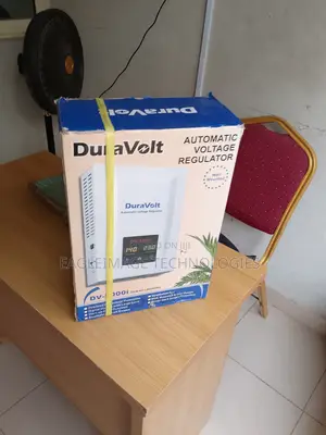 The Automatic Voltage Duravolt 5000W Wall-Mounted Regulator