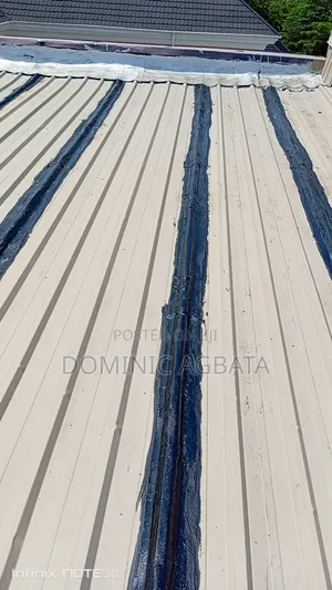 Eager Waterproofing Professionals