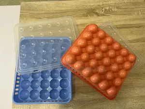 Single Layer Egg Crate Box With Lid
