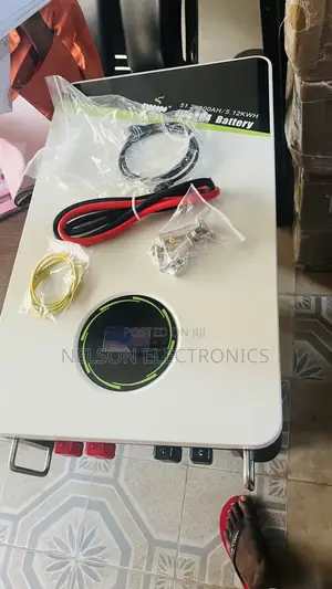 Iwin 5kwh Lithium Ion Batteries 48volt With 5years Warranty