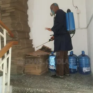 Fumigation Against Bedbugs