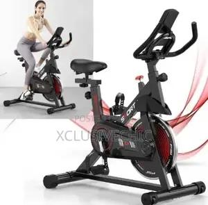 150kg Spinning Spike Bike With Meter Quality Standard- Big Size