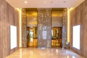 Hotel Elevator High Quality Commercial