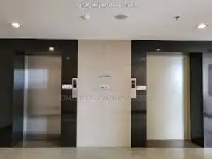 Passenger Hotel Elevator for Building