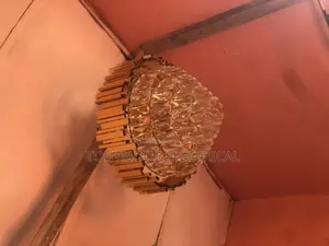 Drop Light