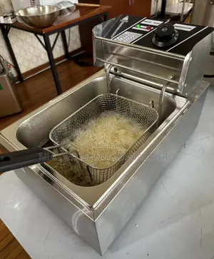6liters Electric Deep Fryer (Chicken/Chips/Turkey Etc) Fryer