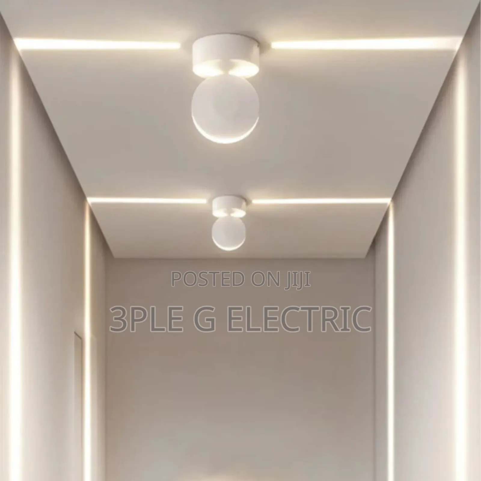 Wall and Ceiling Scone