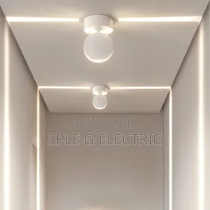 Wall and Ceiling Scone