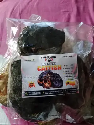 Delicious Oven Dried Catfish