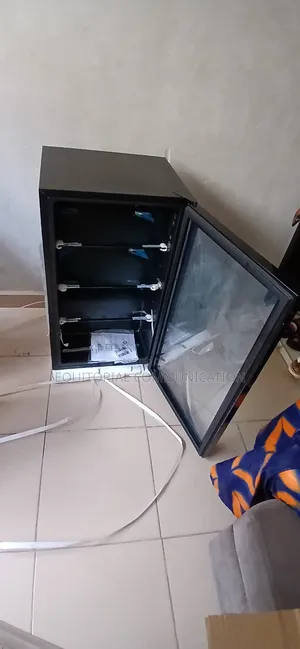 Fast Cooling Technology ||Hisense 91L Beverage Cooler