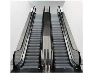 Degrees Handrail Escalator Moving Walk by Home Lift Elevator